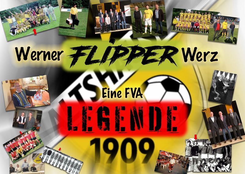 Werz Flipper Werner 800